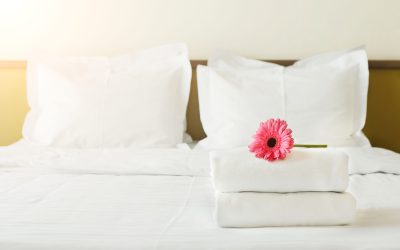 Why Top Hotels in South Africa Choose Snag Free Towels